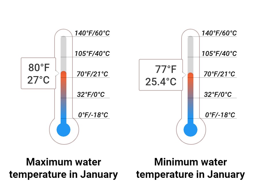 Average Sea temperature